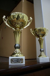 Кубок трудовых коллективов 2008